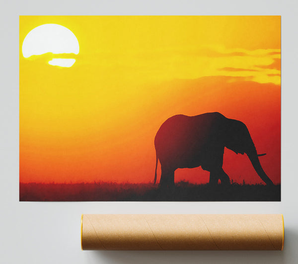 Golden Elephant Poster