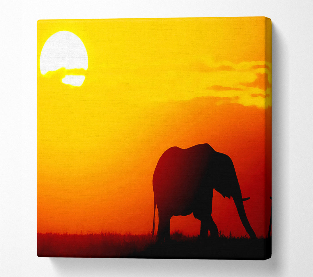  A Canvas Print of Golden Elephant Canvas Art