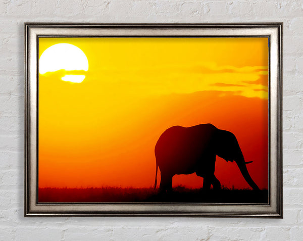 Golden Elephant Framed Print