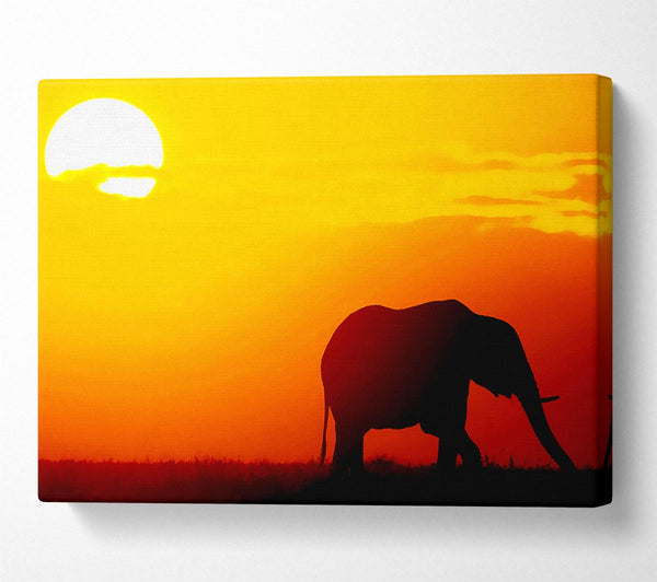  A Canvas Print of Golden Elephant Canvas Art