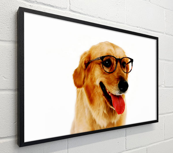 Golden Retriever Nerd