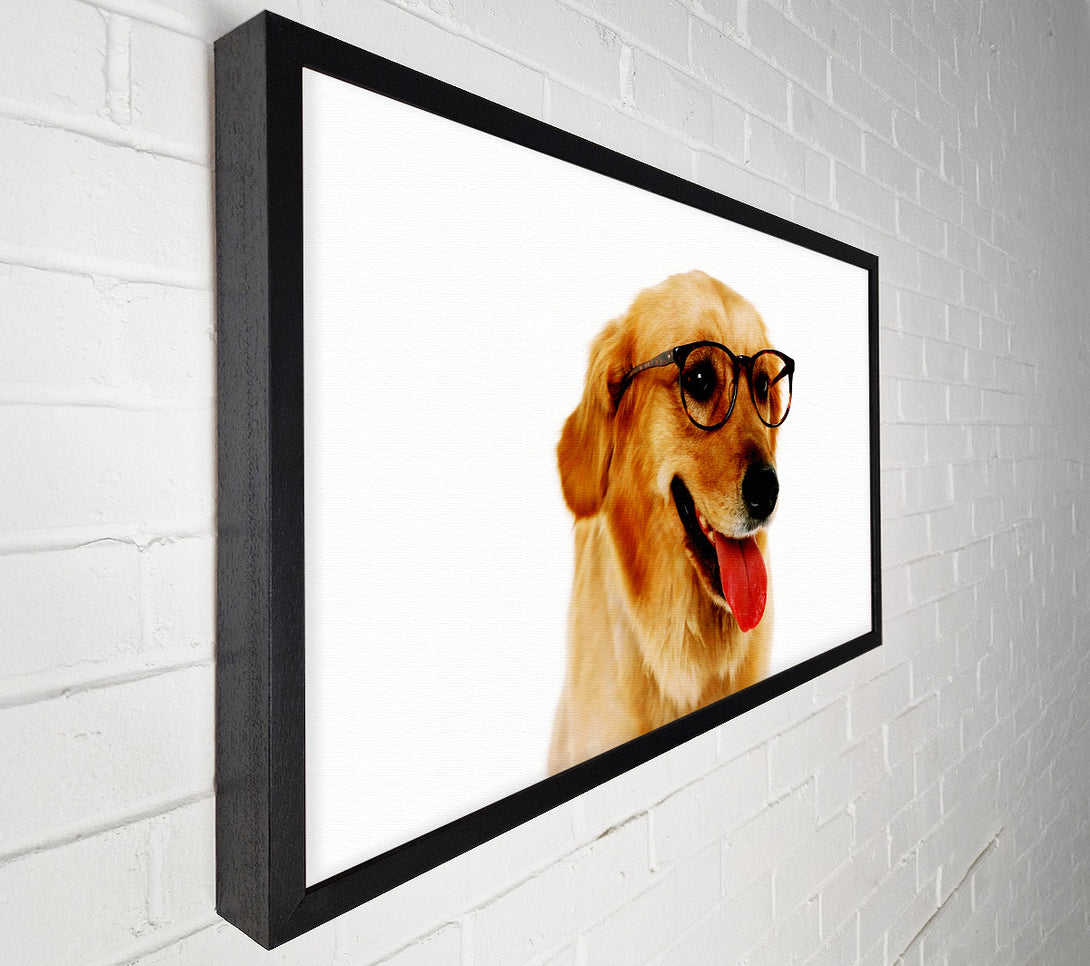  A Canvas Print of Golden Retriever Nerd Canvas Wall Art