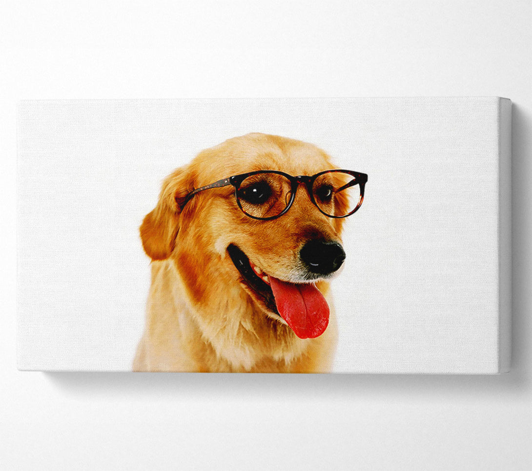  A Canvas Print of Golden Retriever Nerd Canvas Wall Art
