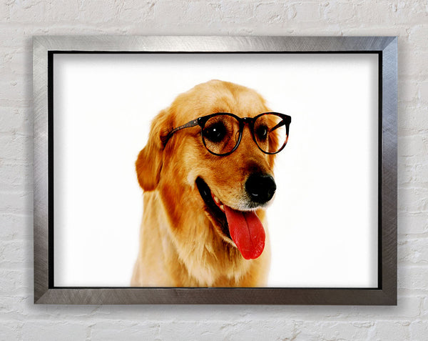 Golden Retriever Nerd Framed Print