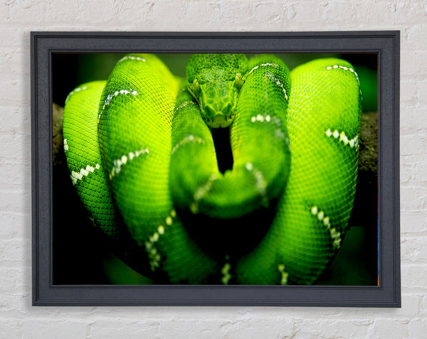 Green Snake Framed Print