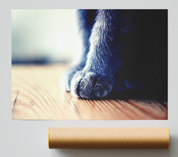 Grey Paws Poster