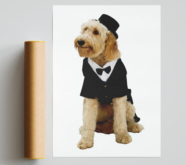 Groom Dog Poster