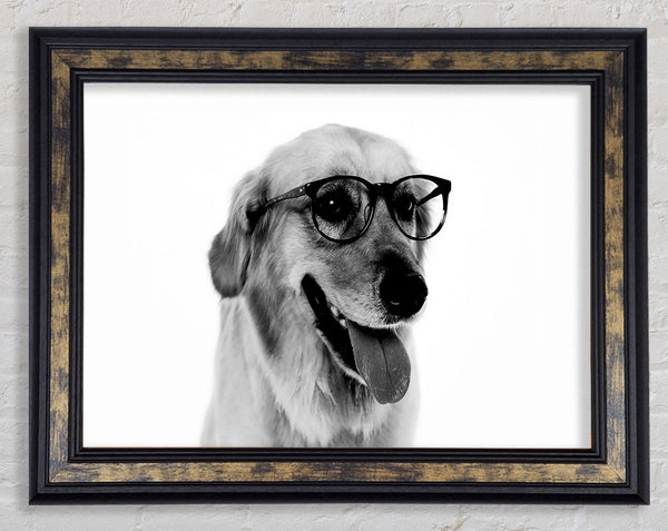 Have You Seen My Glasses B n W Framed Print