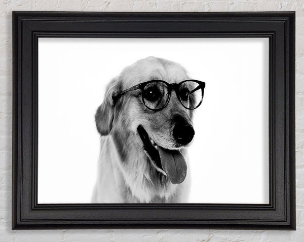 Have You Seen My Glasses B n W Framed Print