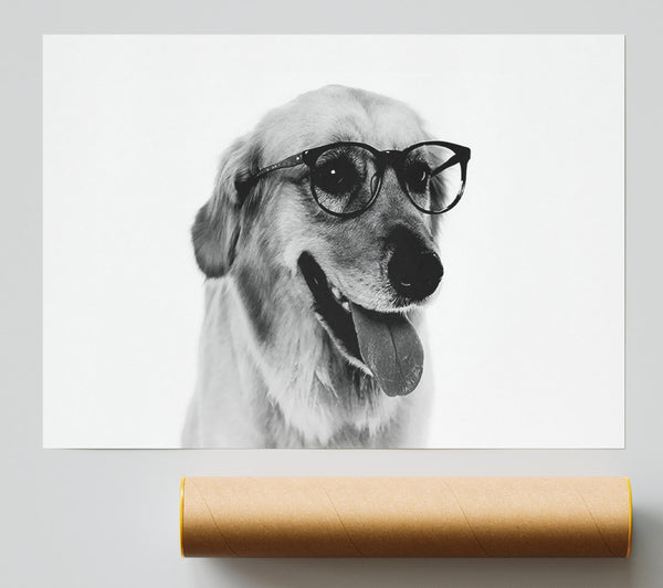 Have You Seen My Glasses B N W Print