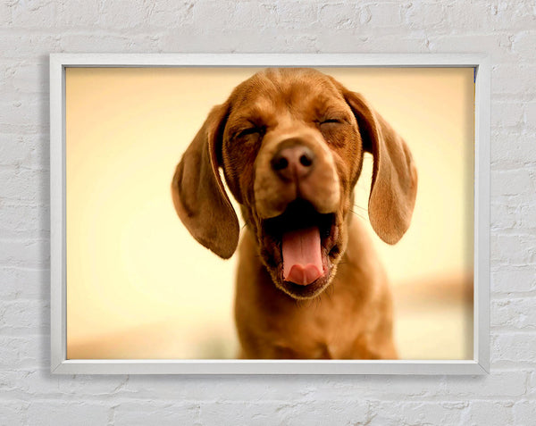 Funny Dog Framed Print