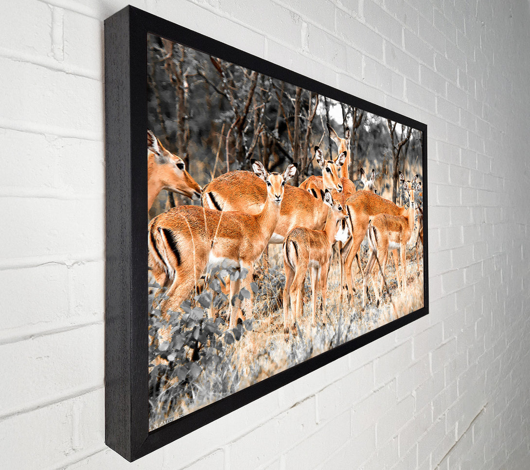  A Canvas Print of Herd Of Deer Canvas Wall Art