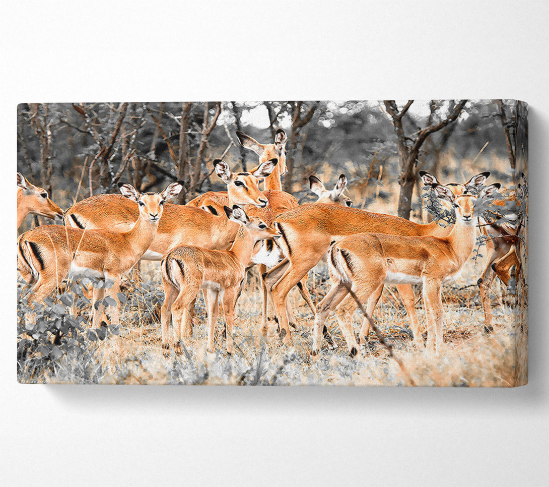  A Canvas Print of Herd Of Deer Canvas Wall Art