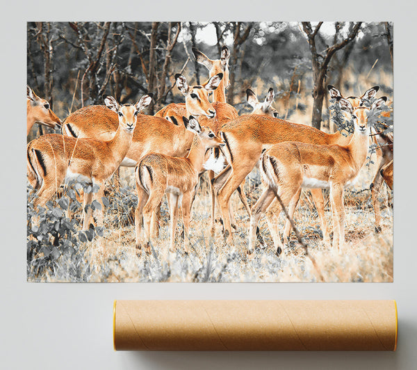 Herd Of Deer Giclee Print