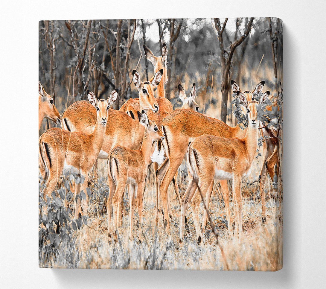  A Canvas Print of Herd Of Deer Canvas Wall Art