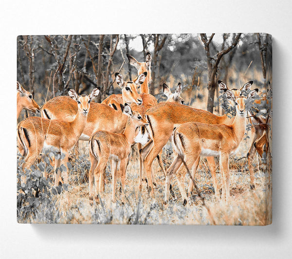  A Canvas Print of Herd Of Deer Canvas Wall Art