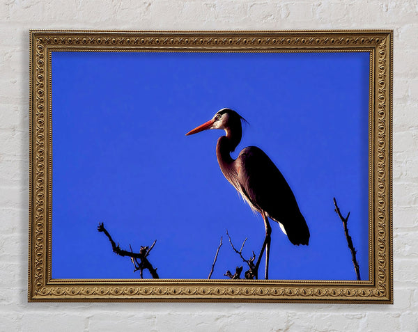 Heron Watch Framed Print