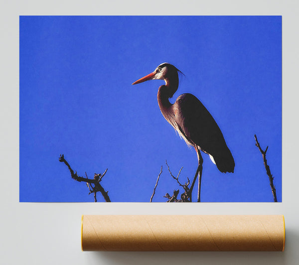 Heron Watch Print