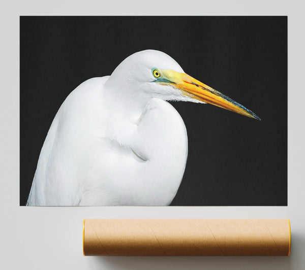 Herons Reach Poster