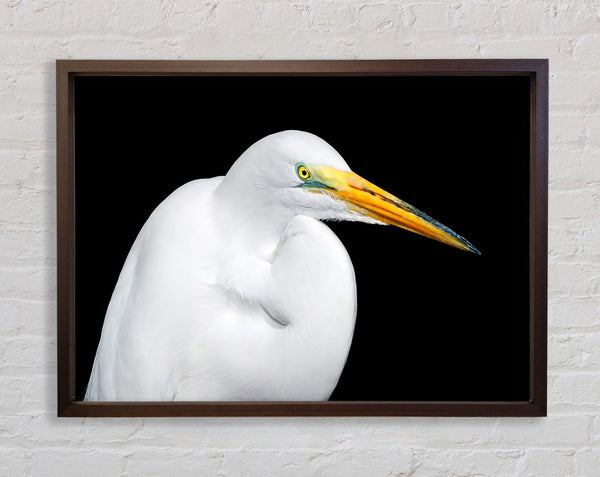 Herons Reach Framed Print