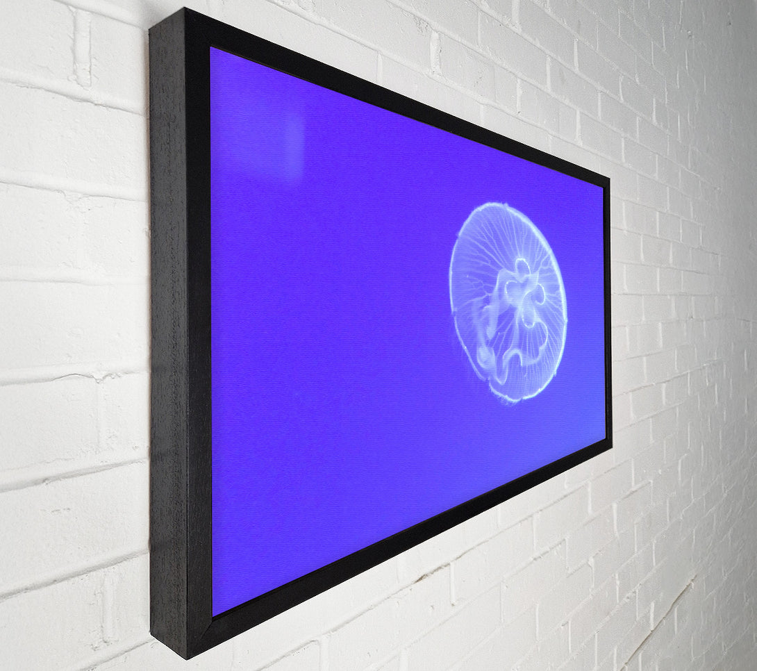  A Canvas Print of Horniman Jellyfish Canvas Wall Art