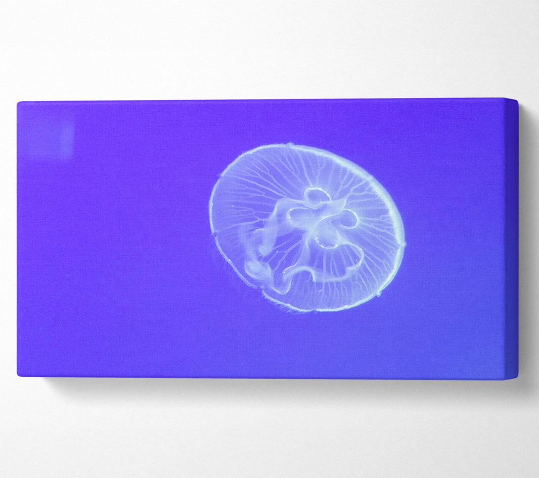  A Canvas Print of Horniman Jellyfish Canvas Wall Art