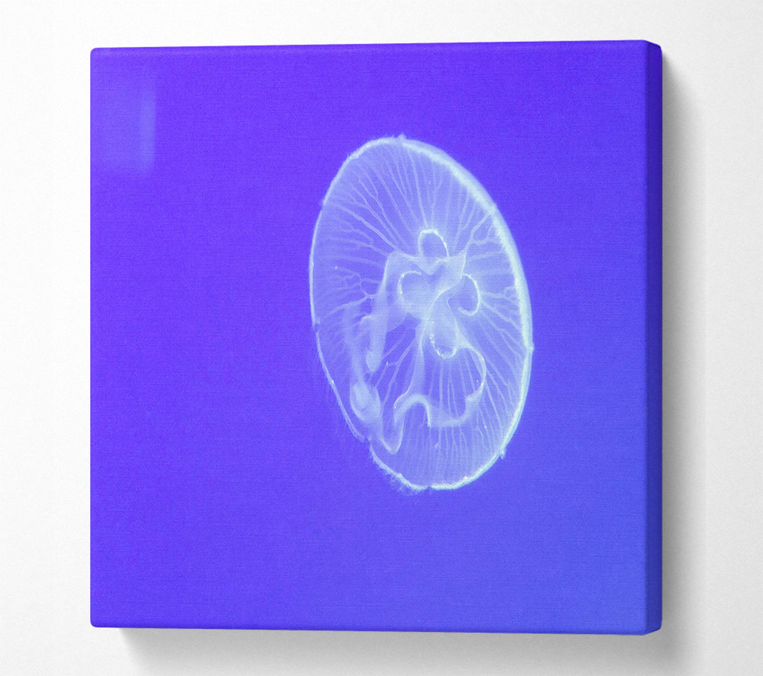  A Canvas Print of Horniman Jellyfish Canvas Wall Art