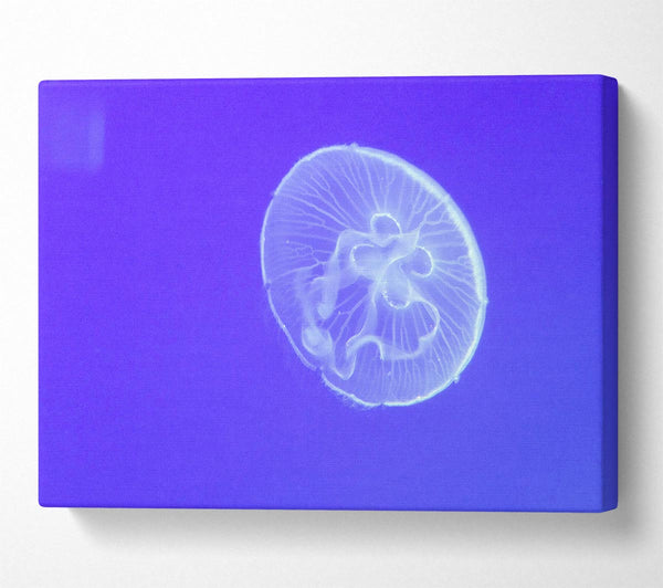  A Canvas Print of Horniman Jellyfish Canvas Wall Art