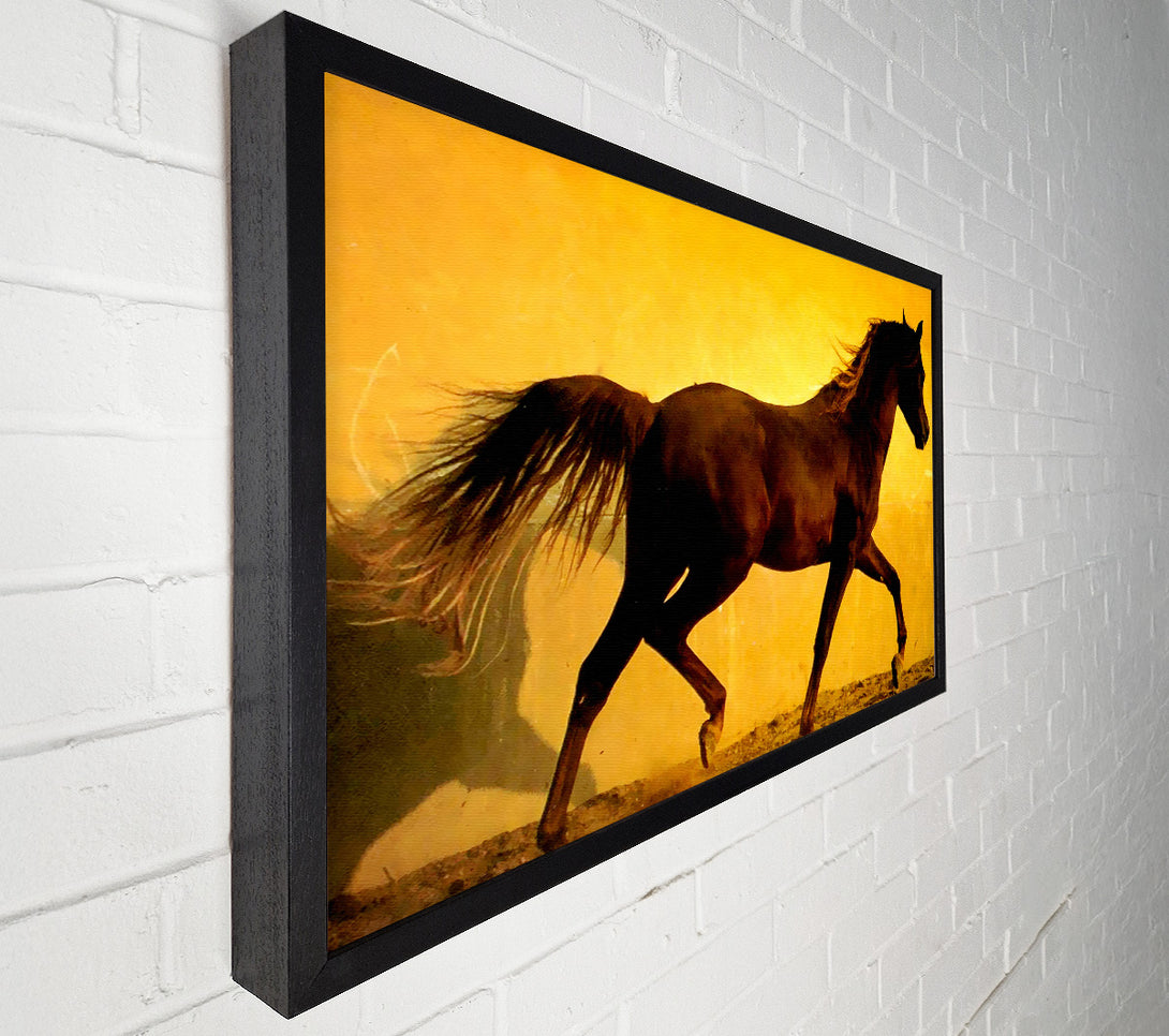  A Canvas Print of Horse In Golden Sunlight Canvas Print