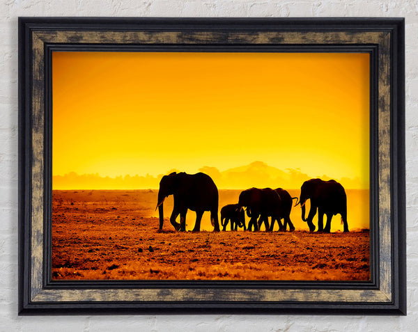 Hurd Of Elephants Framed Print