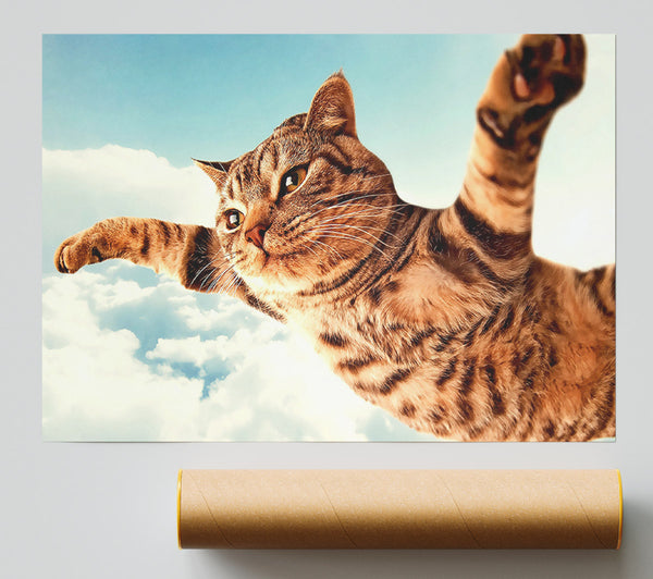 I Believe I Can Fly Cat Giclee Print