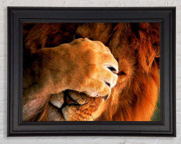 I Hate Mondays Lion Framed Print