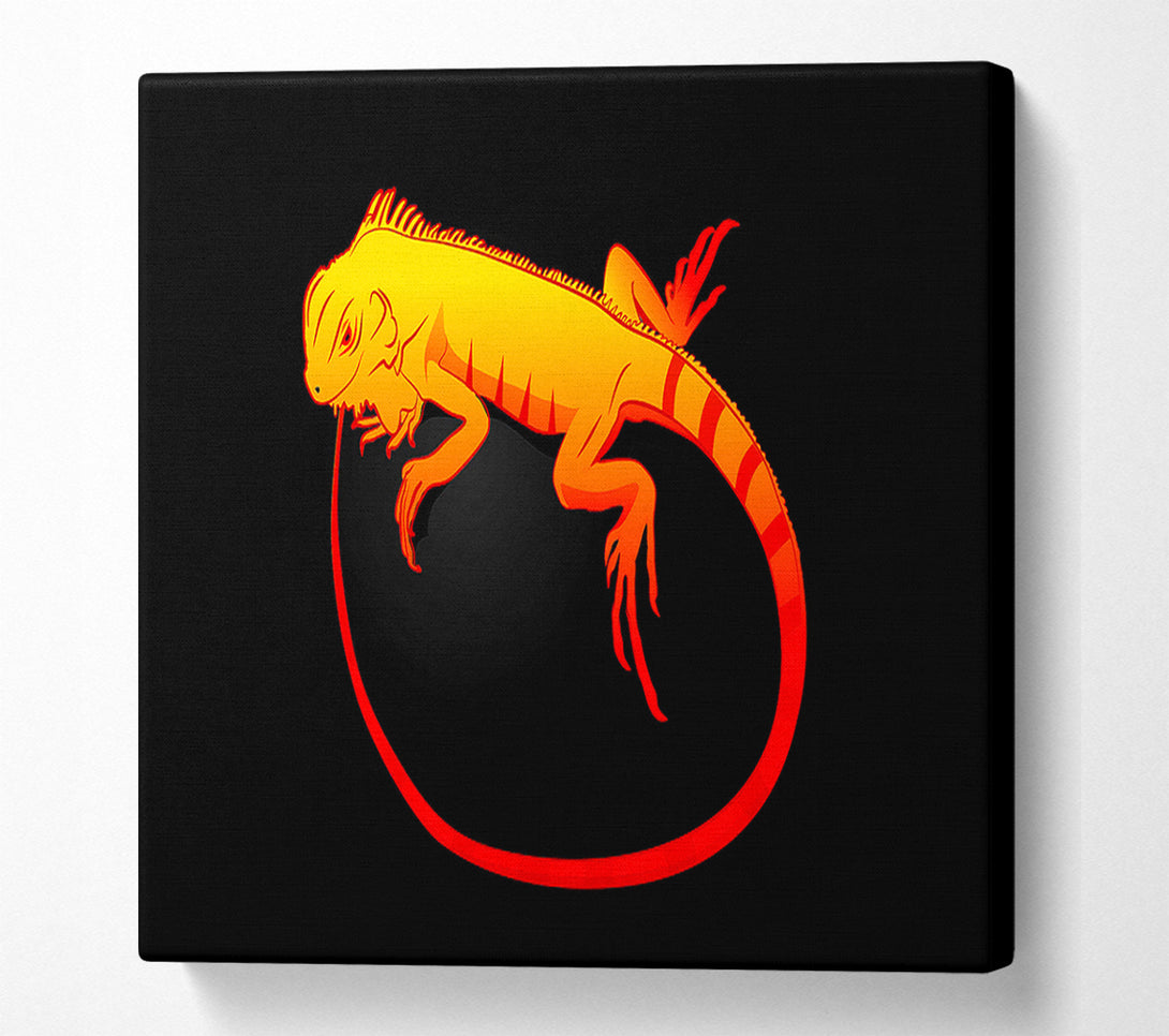  A Canvas Print of Iguana 2 Canvas Print