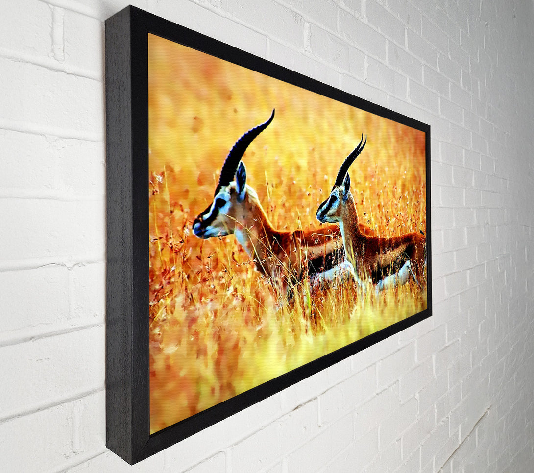  A Canvas Print of In The Wild Canvas Wall Art