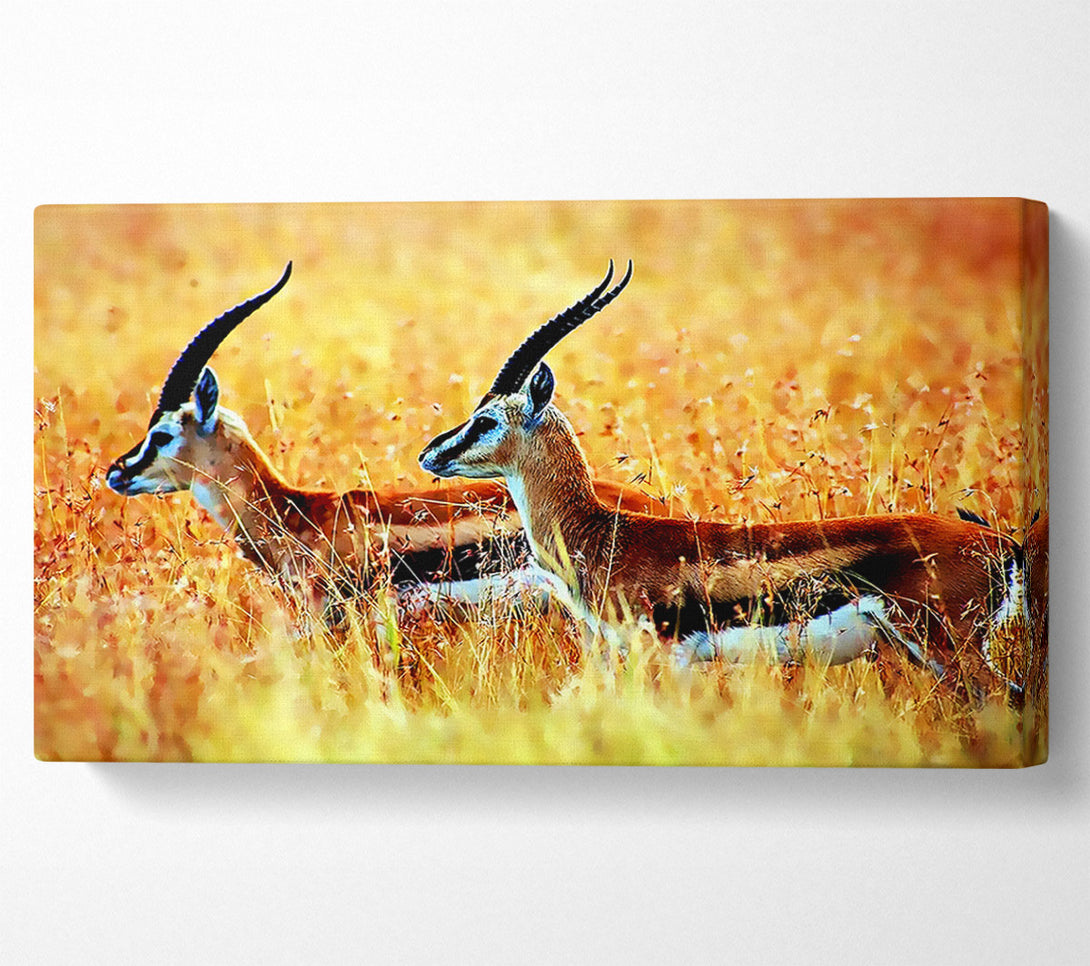  A Canvas Print of In The Wild Canvas Wall Art