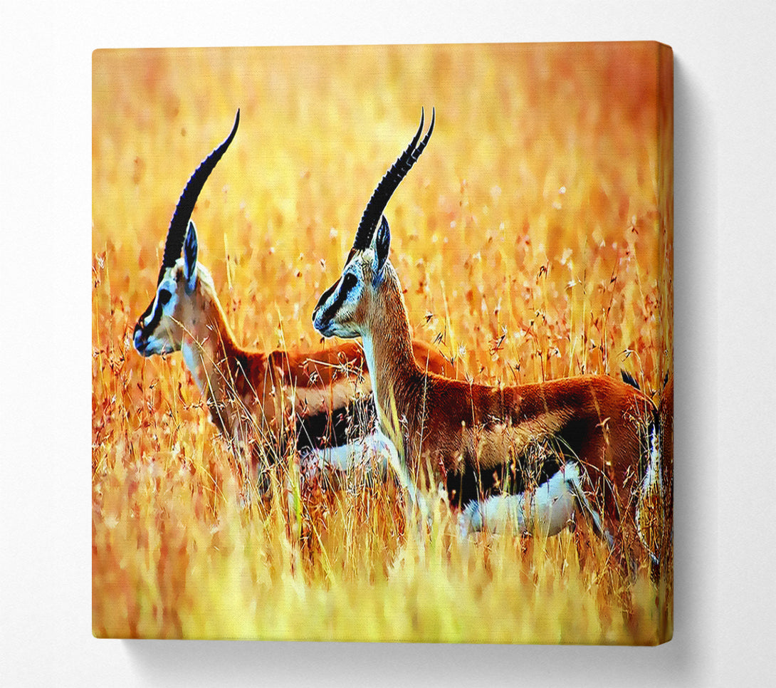  A Canvas Print of In The Wild Canvas Wall Art