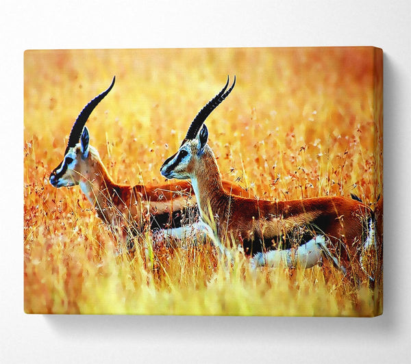  A Canvas Print of In The Wild Canvas Wall Art