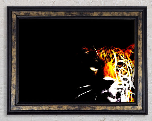 Jaguar Blaze Framed Print