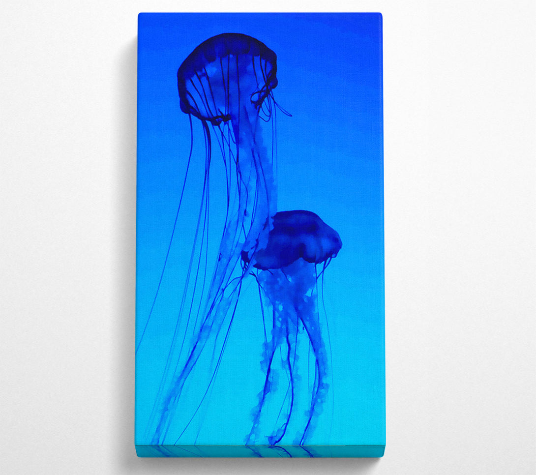  A Canvas Print of Jellyfish Duo Canvas Print