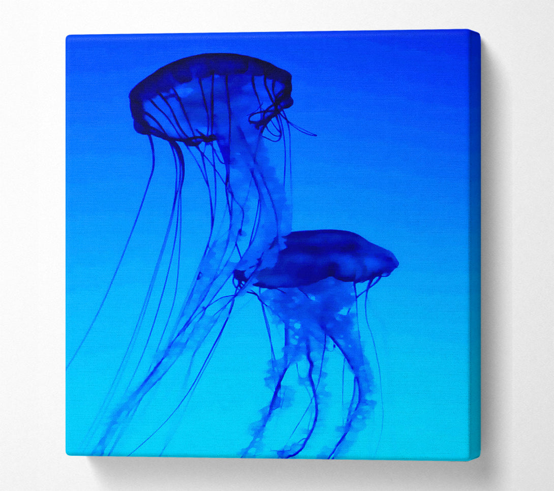  A Canvas Print of Jellyfish Duo Canvas Print