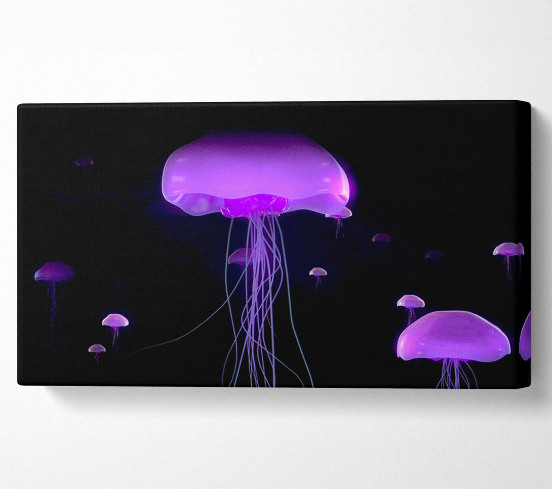  A Canvas Print of Jellyfish Lights Up The Ocean Canvas Print