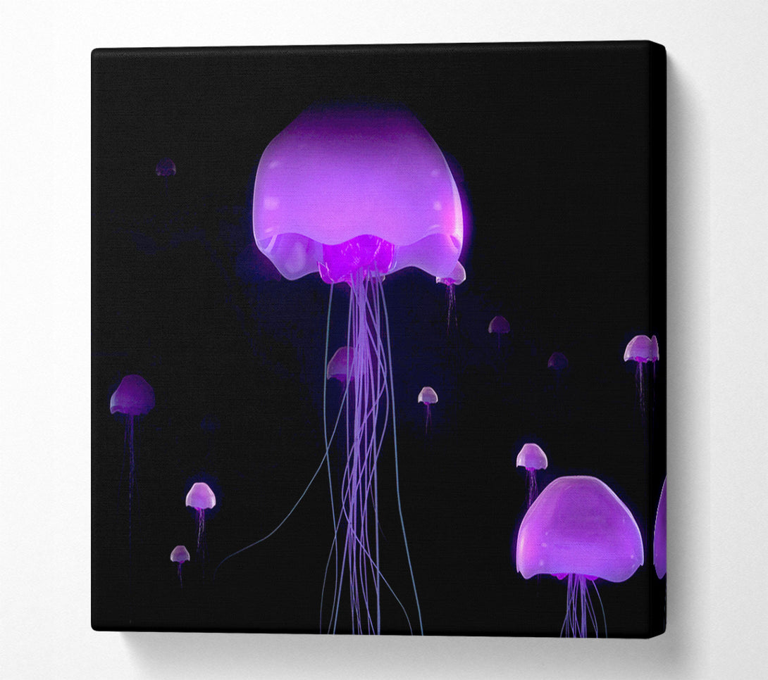  A Canvas Print of Jellyfish Lights Up The Ocean Canvas Print