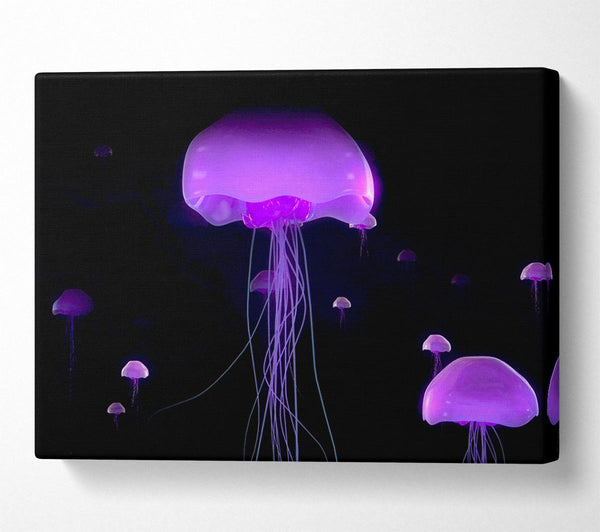  A Canvas Print of Jellyfish Lights Up The Ocean Canvas Print