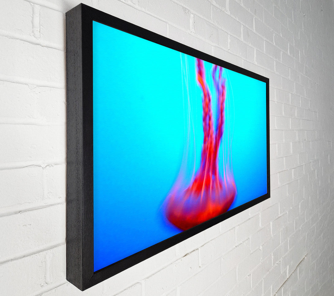  A Canvas Print of Jellyfish Movement Canvas Art