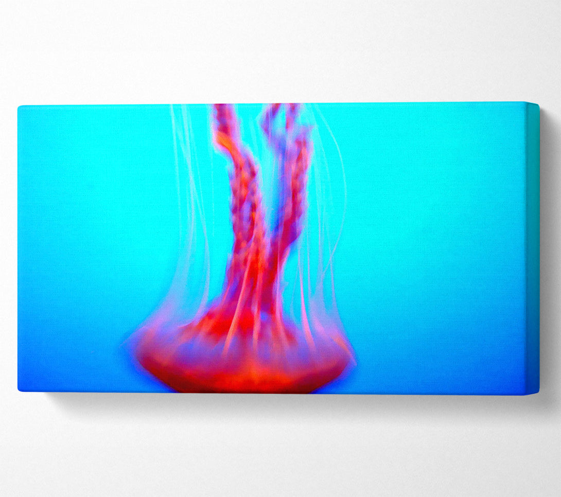  A Canvas Print of Jellyfish Movement Canvas Art