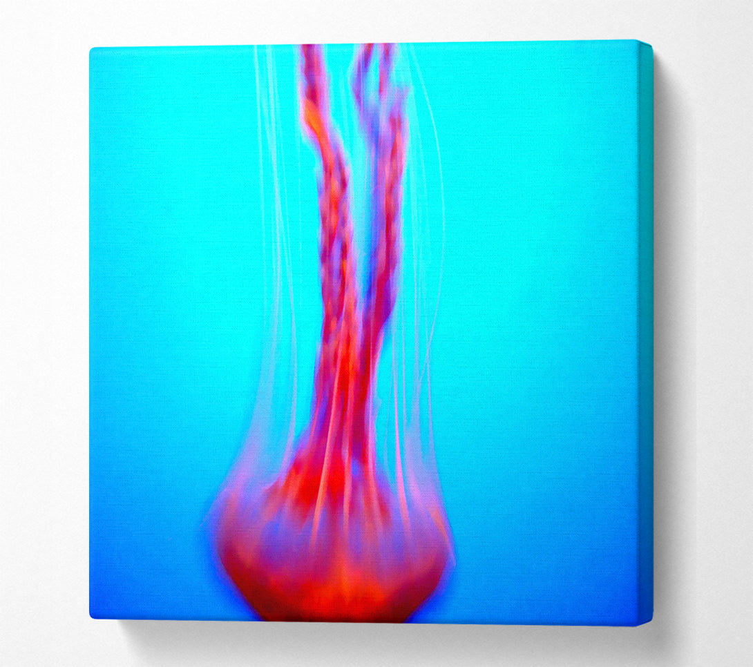  A Canvas Print of Jellyfish Movement Canvas Art