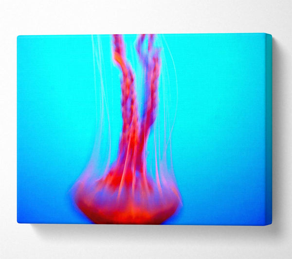 A Canvas Print of Jellyfish Movement Canvas Art