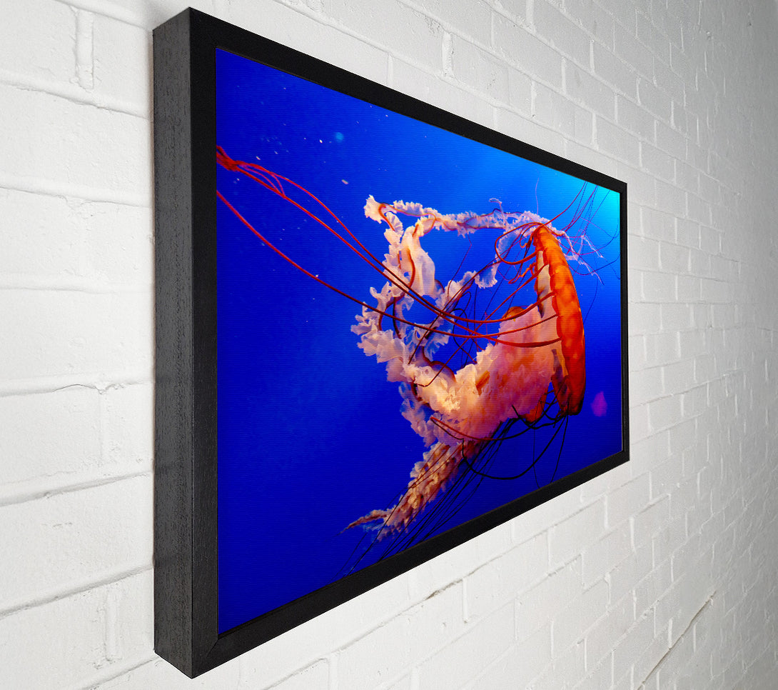  A Canvas Print of Jellyfish Ocean Canvas Wall Art