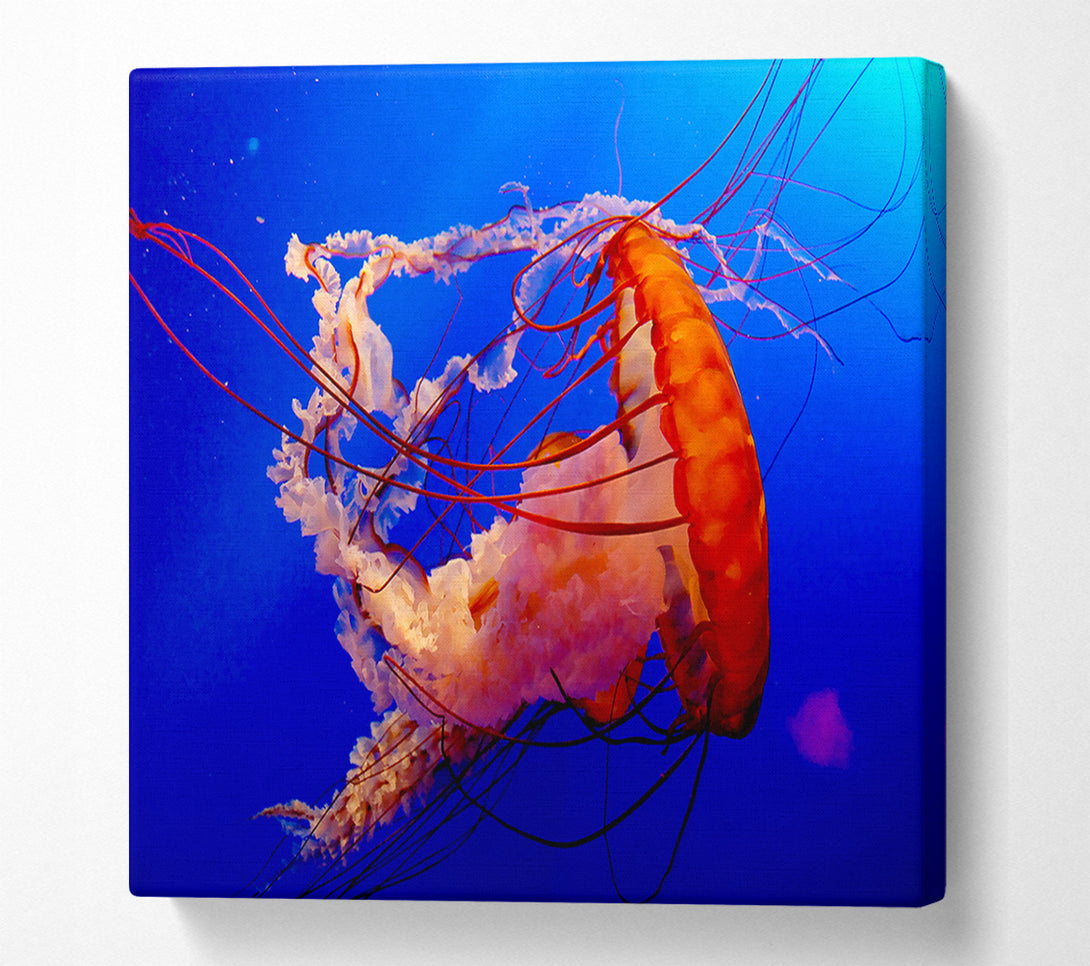  A Canvas Print of Jellyfish Ocean Canvas Wall Art