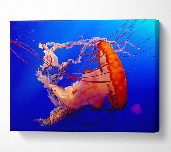  A Canvas Print of Jellyfish Ocean Canvas Wall Art